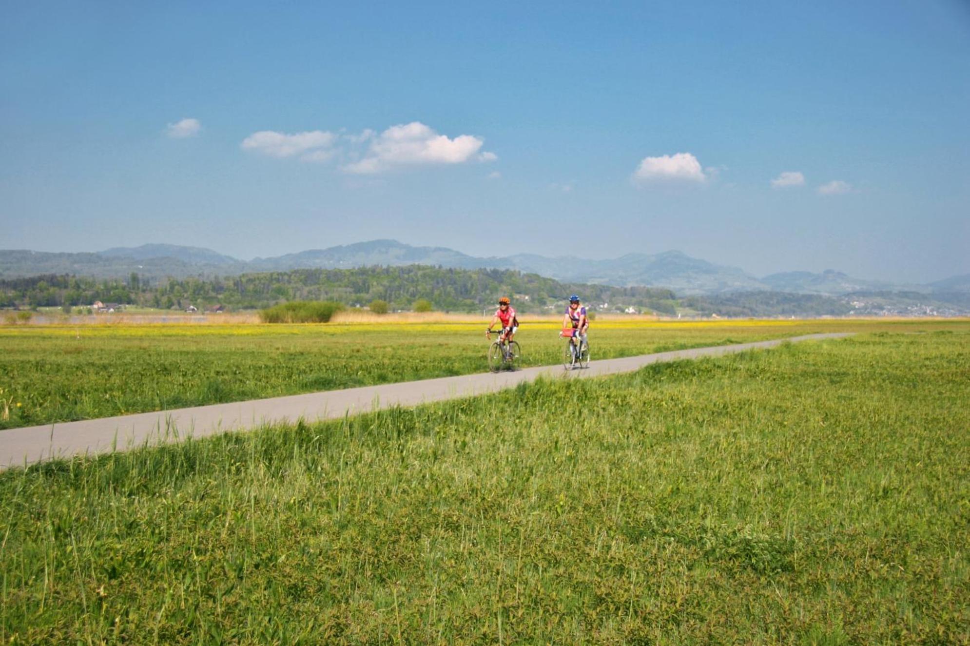 Landgasthof Zum Zimmermann Jona - Rapperswil Exteriör bild